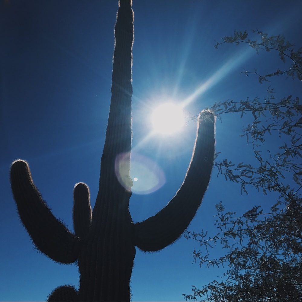 Meet your Posher, Jay